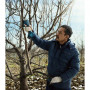 Секатор Bosch Pro Pruner, 12V, 2х3Ah (0.601.9K1.021)