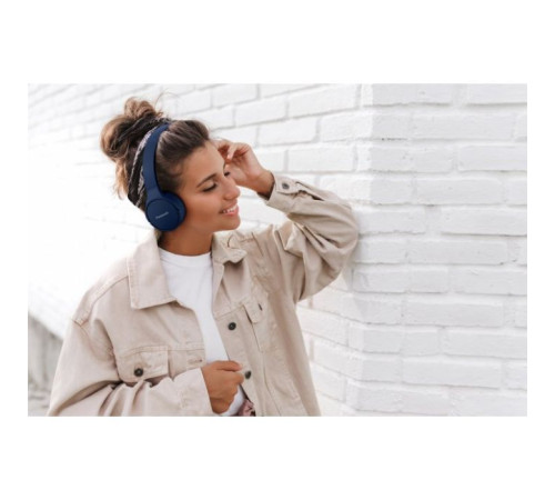 Наушники Panasonic RB-HF420BGEA Blue (RB-HF420BGEA)