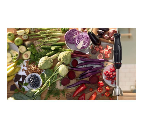  Блендер Bosch MSM4B621 