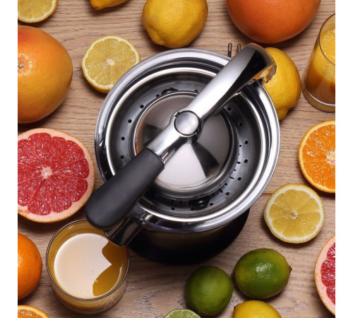 Соковыжималка Gorenje CJ100HE