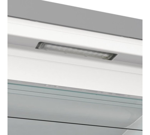 Морозильная камера Gorenje FN619EAXL6