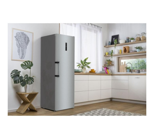 Морозильная камера Gorenje FN619EAXL6