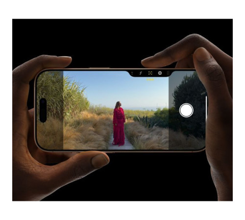 Мобильный телефон Apple iPhone 16 Pro Max 256GB Desert Titanium (MYWX3)