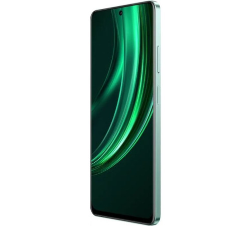 Мобильный телефон realme 13 5G 12/256GB Speed Green