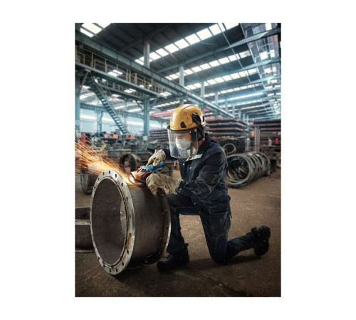 Шлифовальная машина Bosch GWS 12-125 S (0.601.3A6.020)