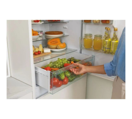  Холодильник Candy CBT 7719 EW (CBT7719EW) 