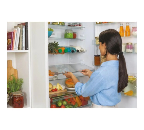  Холодильник Candy CBT 7719 EW (CBT7719EW) 