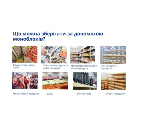  Холодильник Snaige SGL011P 