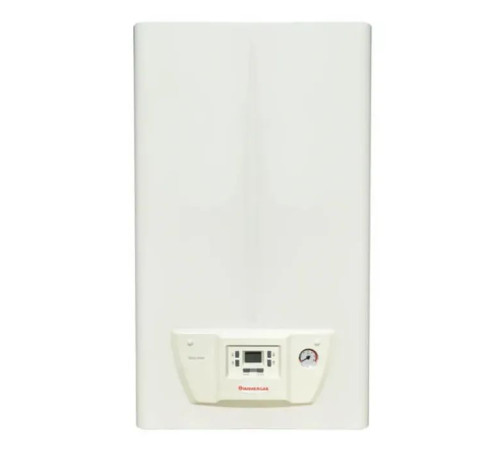  Котел Immergas NIKE STAR 24 4 E (3.027058) 