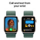 Смарт-часы Apple Watch SE 2024 GPS 40mm Starlight Aluminium Case with Lake Green Sport Loop (MXEH3QH/A)