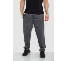 Спорт штаны мужские, цвет темно-серый, 244R41291