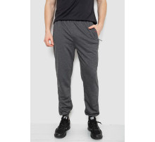 Спорт штаны мужские, цвет темно-серый, 244R41669