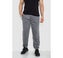 Спорт штаны мужские, цвет серый, 244R41382