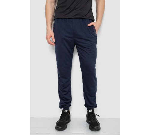 Спорт штаны мужские, цвет темно-синий, 244R41669