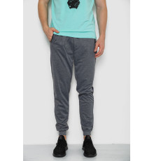 Спорт чоловічі штани, колір сірий, 244R41285