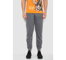 Спорт штаны мужские, цвет серый, 244R41236