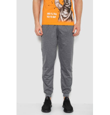 Спорт чоловічі штани, колір сірий, 244R41236