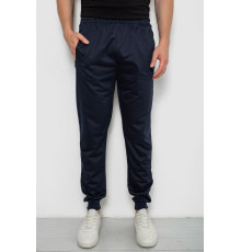 Спортивні чоловічі штани, колір темно-синій, 244R4779