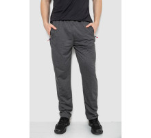 Спортивные штаны мужские, цвет темно-серый, 244R41734