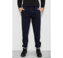 Спортивные штаны мужские на флисе, цвет синий, 244R41748