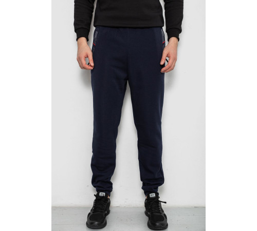 Спортивные штаны мужские на флисе, цвет синий, 244R41558