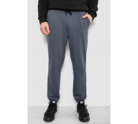 Спортивні штани чоловічі двонитка, колір сірий, 241R8003