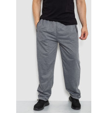 Спорт чоловічі штани, колір сірий, 244R41250