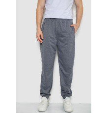 Спортивні штани чоловічі, сірий колір, 244R4777