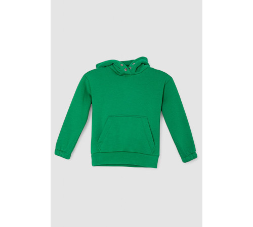 Спортивный костюм детский на флисе, цвет зеленый, 102R1520