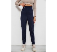 Лосини однотонні на флісі, колір синій, 238R58412