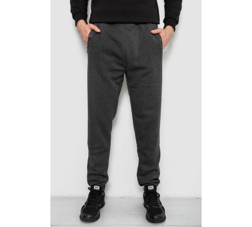 Спортивні штани чоловічі на флісі, колір сірий, 244R41553