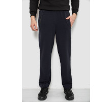 Спортивные штаны мужские однотонные, цвет темно-синий, 244R41277