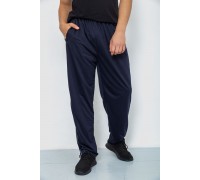 Спортивные штаны мужские, цвет темно-синий, 244R0668