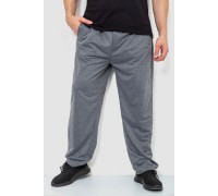Спортивные штаны мужские, цвет серый, 244R10018