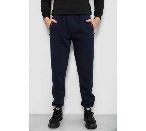 Спортивні штани чоловічі на флісі, колір синій, 244R41748