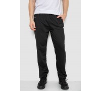 Спортивные штаны мужские, цвет черный, 244R41745