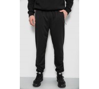 Спортивные штаны мужские, цвет черный, 244R435