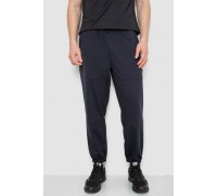 Спортивные мужские штаны демисезонные, цвет темно-синий, 241R001-1