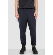 Спортивные мужские штаны демисезонные, цвет темно-синий, 241R001-1