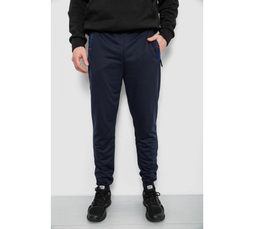 Спортивні штани чоловічі, колір синій, 244R429