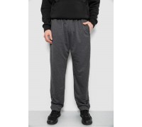 Спортивные штаны мужские, цвет серый, 244R41399