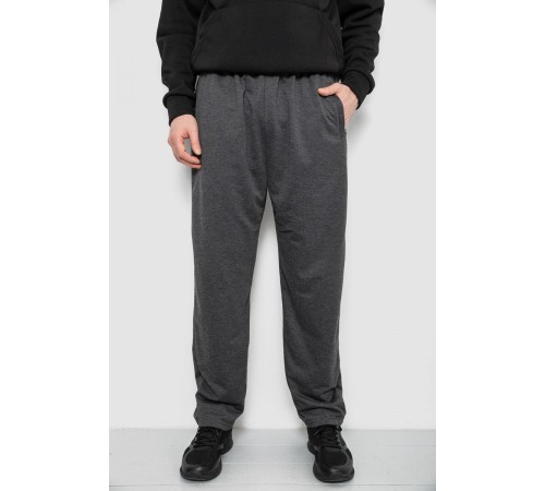 Спортивні штани чоловічі, колір сірий, 244R41399