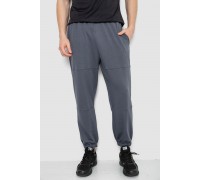 Спортивні штани чоловічі демісезонні, колір сірий, 241R001-1