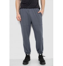 Спортивні штани чоловічі демісезонні, колір сірий, 241R001-1
