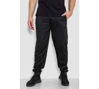 Спортивные штаны мужские, цвет черный, 244R41512