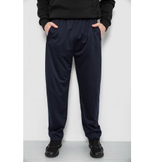 Спортивні штани чоловічі, колір синій, 244R41399