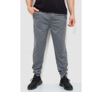 Спортивные штаны мужские двухнитка, цвет серый, 244R41298