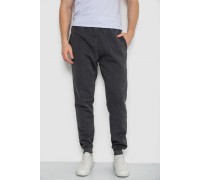 Спортивные штаны мужские на флисе, цвет темно-серый, 244ROP09