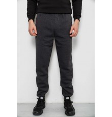 Спортивні штани чоловічі на флісі, колір сірий, 244R41526