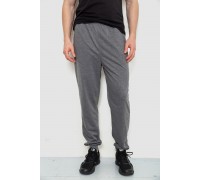 Спортивные штаны мужские, цвет серый, 244R4770